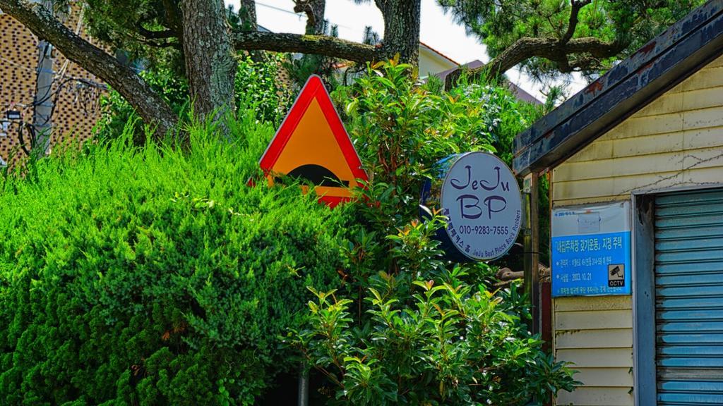 Jeju B.P. Guesthouse Екстериор снимка