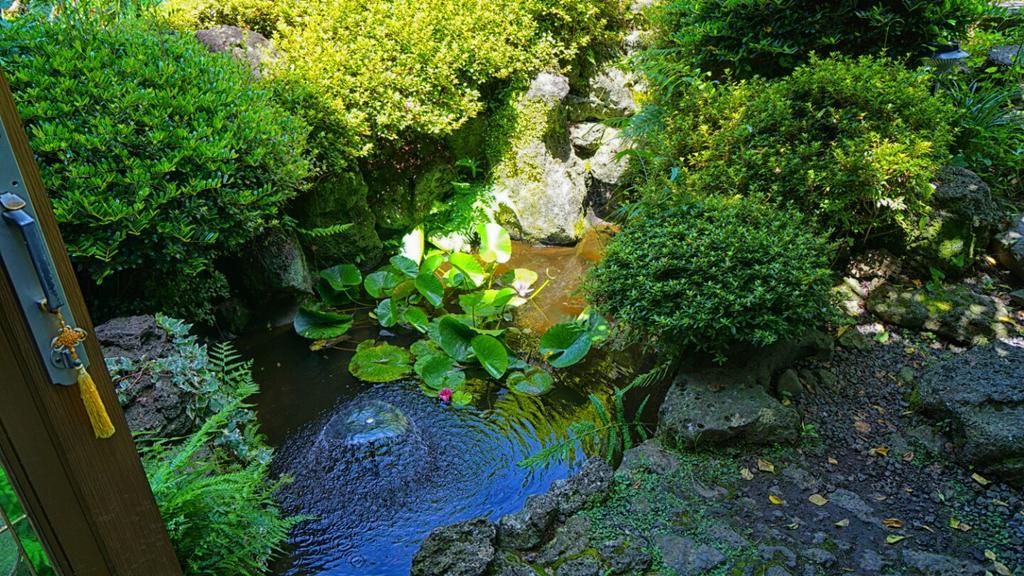 Jeju B.P. Guesthouse Екстериор снимка